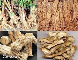 9 bài thuốc chữa phụ nữ vô sinh, hiếm muộn